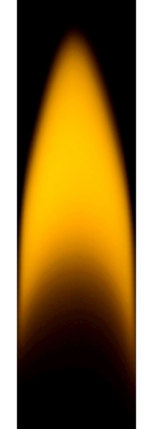 ModernNature Texture