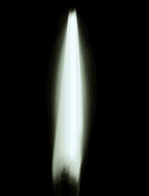 ModernNature Texture