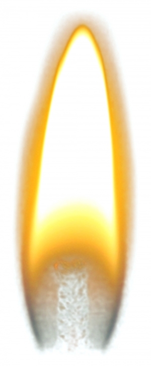 ModernNature Texture