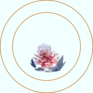 陶瓷器皿碟子-ID:251362091