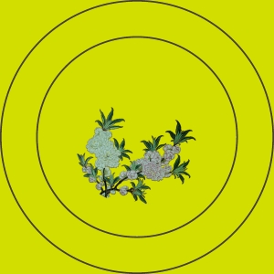 陶瓷器皿碟子盘子-ID:545113094