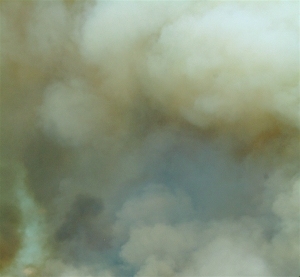 ModernNature Texture