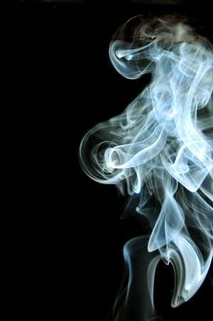 ModernNature Texture