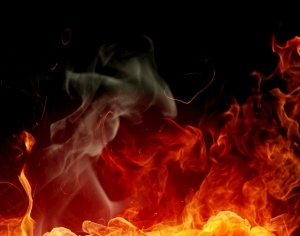 ModernNature Texture