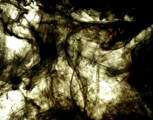 ModernNature Texture