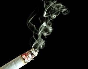 ModernNature Texture