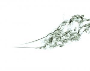 ModernNature Texture