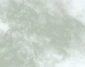 ModernNature Texture