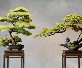 New Chinese Style Bonsai-ID:172266963