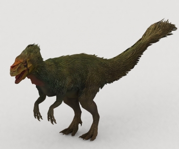 Modern Other Animals-ID:566701893