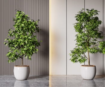 现代落地绿植盆栽组合-ID:788645985