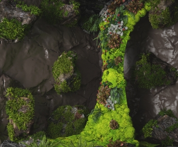 Modern Plant Landscaping-ID:104464057