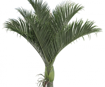 Modern Tree-ID:607594974