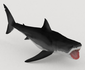 Modern Aquatic Animals-ID:292103052