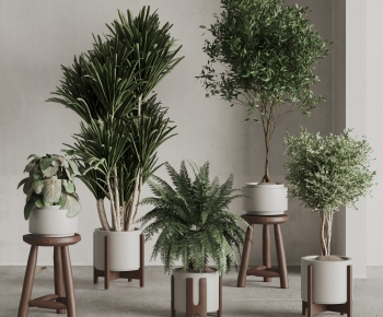 现代落地绿植盆栽组合-ID:597230913