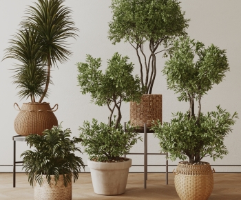 现代落地绿植盆栽组合-ID:505744931
