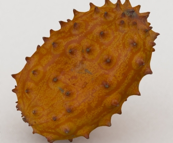 Modern Fruit-ID:746330026