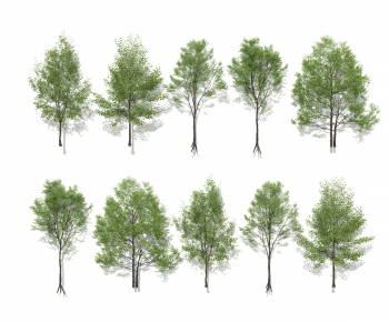 Modern Tree-ID:611809027