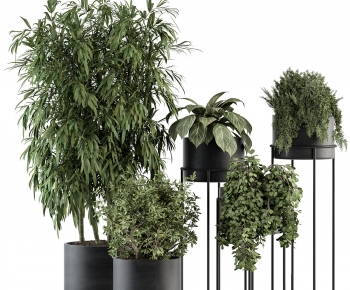 现代落地绿植盆栽组合-ID:260085112