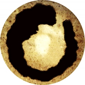ModernFood