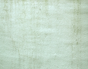 ModernOther