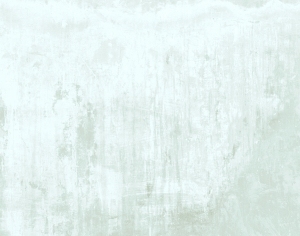 ModernBump Black And White