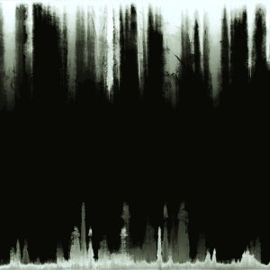 ModernBump Black And White