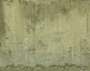 ModernBump Black And White