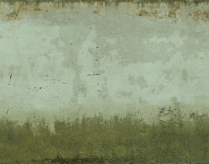 ModernBump Black And White