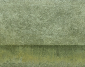 ModernBump Black And White