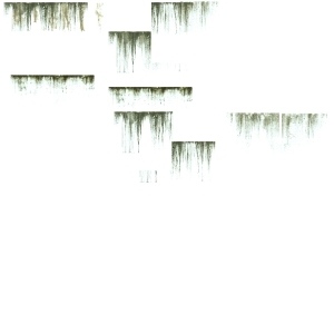 ModernBump Black And White