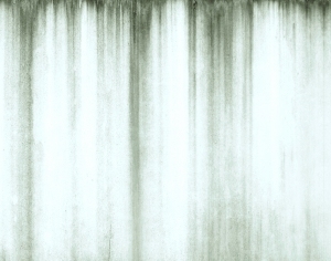 ModernBump Black And White