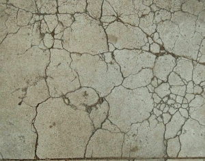 ModernBump Black And White