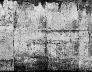 ModernBump Black And White