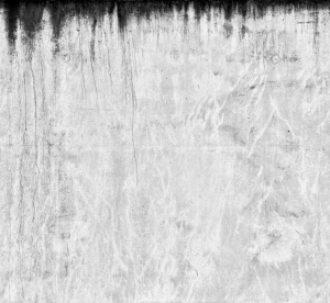 ModernBump Black And White