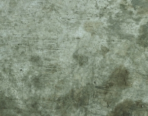 ModernBump Black And White