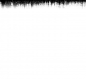 ModernBump Black And White