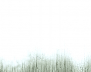 ModernBump Black And White