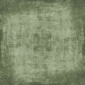 ModernBump Black And White