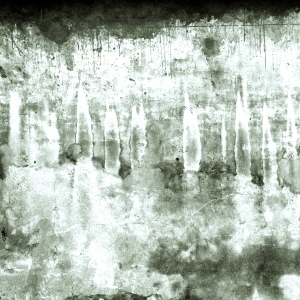 ModernBump Black And White