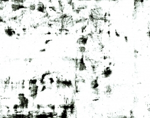 ModernBump Black And White