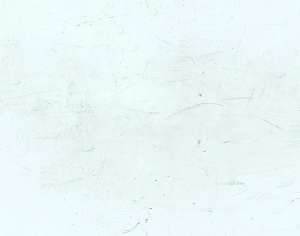 ModernBump Black And White