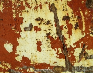 ModernBump Black And White