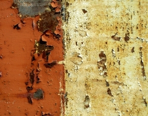 ModernBump Black And White