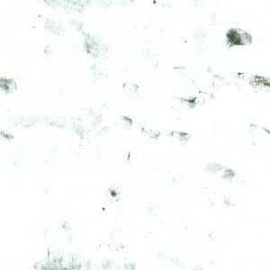 ModernBump Black And White