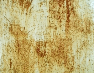 ModernBump Black And White