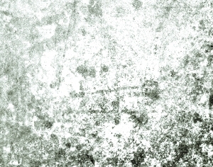 ModernBump Black And White