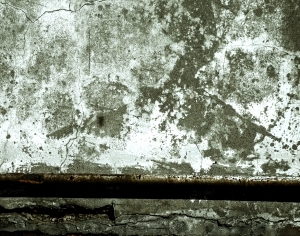 ModernBump Black And White