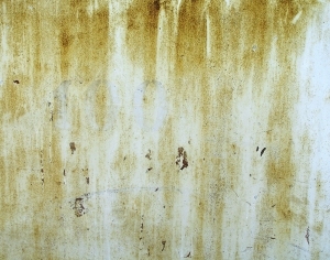 ModernBump Black And White