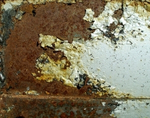 ModernBump Black And White